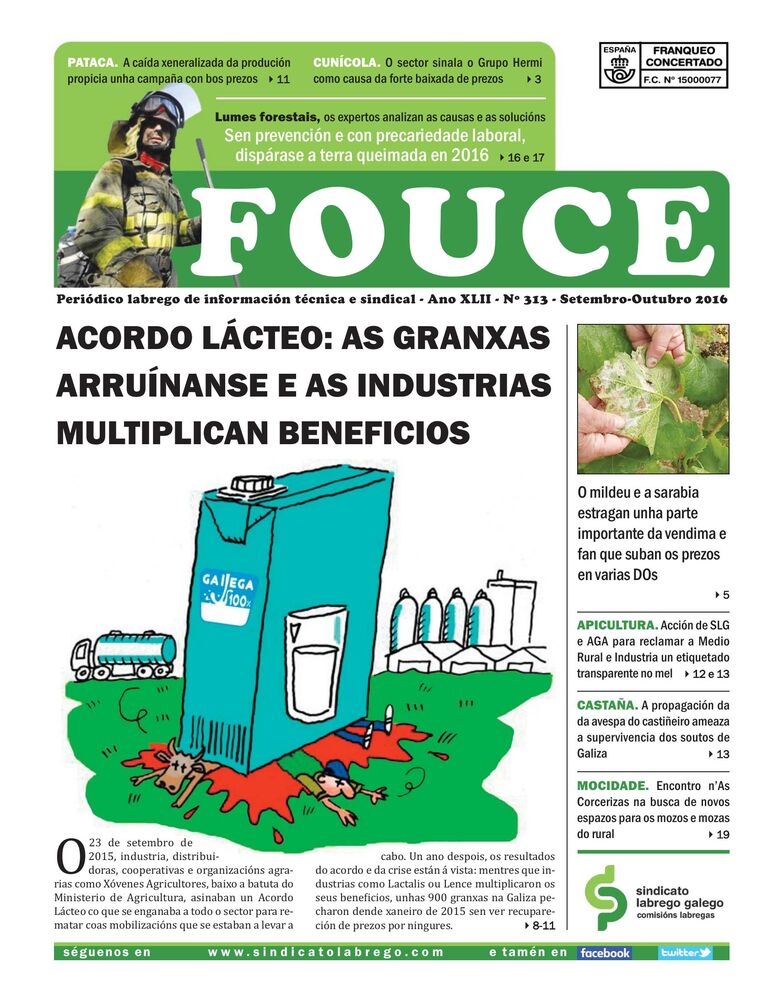 Fouce 313 – Setembro/Outubro 2016