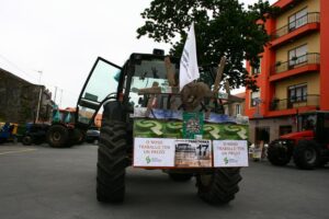 Tractorada de Vimianzo (17/06/2009)