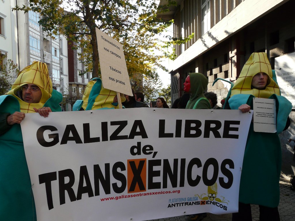 PGA (26/11/2008) – Mobilización perante do Parlamento galego