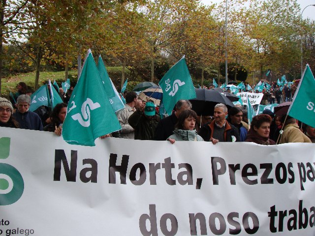 Manifestación SLG – 18 de Novembro de 2008