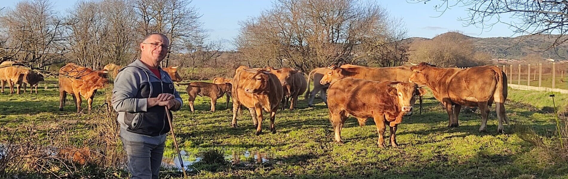 sindicato labregogalego
