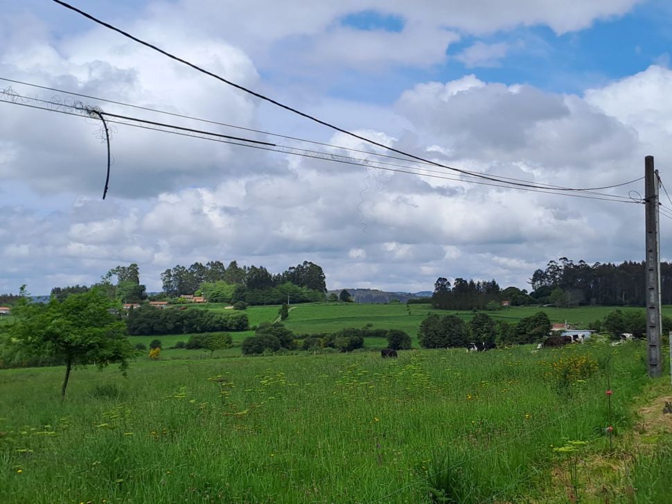 A instalación da fibra óptica no rural está a deixar residuos de cableado polos prados e cunetas de Galiza