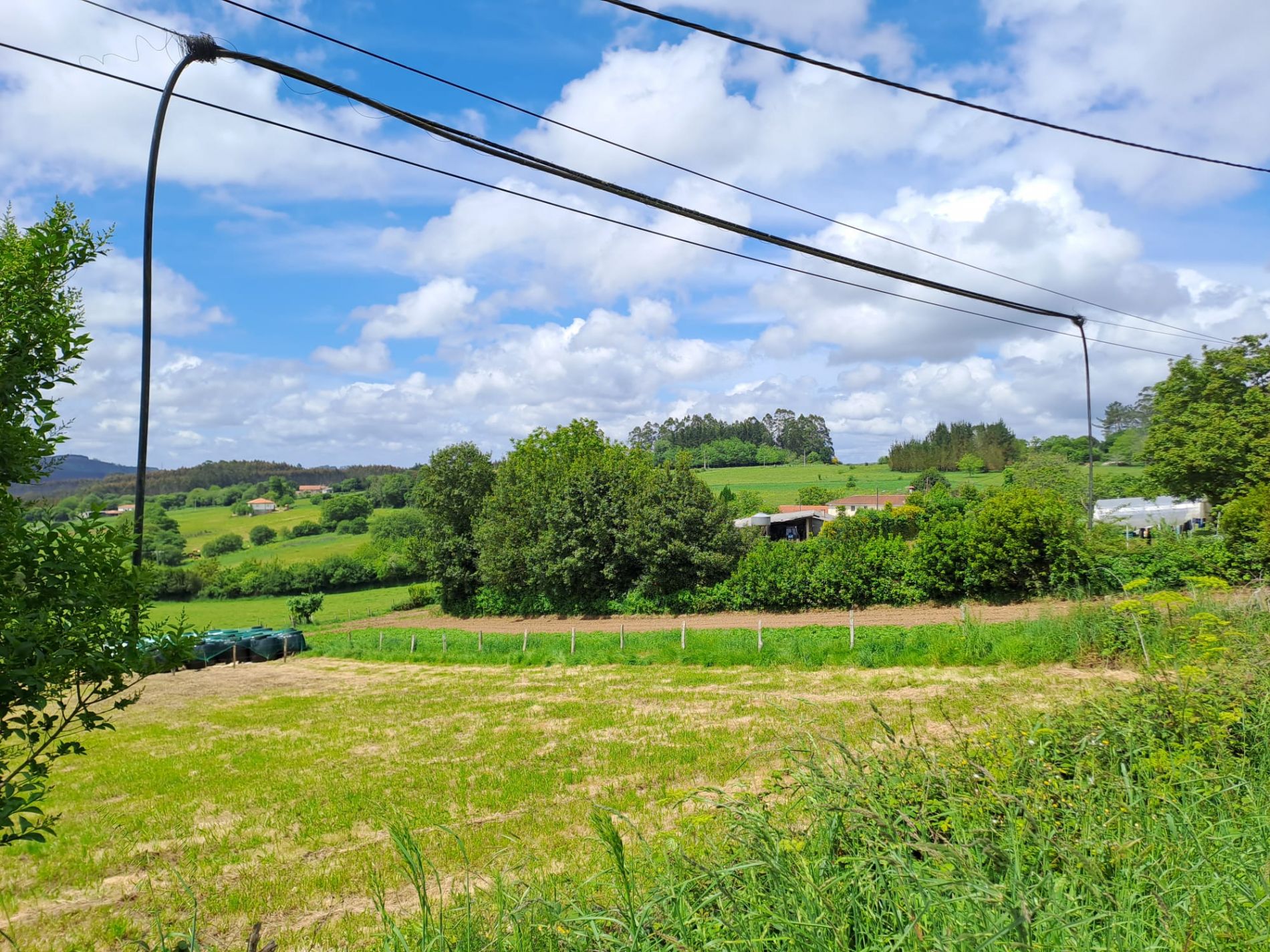 Cable de fibra óptica grosa solta pendurada entre postes sobre unha leira no rural galego, sen sinalización nin recollida.