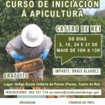 Cartel do curso gratuíto de apicultura en Castro de Rei con imaxe dunha persoa manexando un cadro con abellas