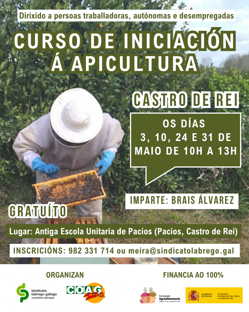 Curso de iniciación á apicultura en Castro de Rei 🗓