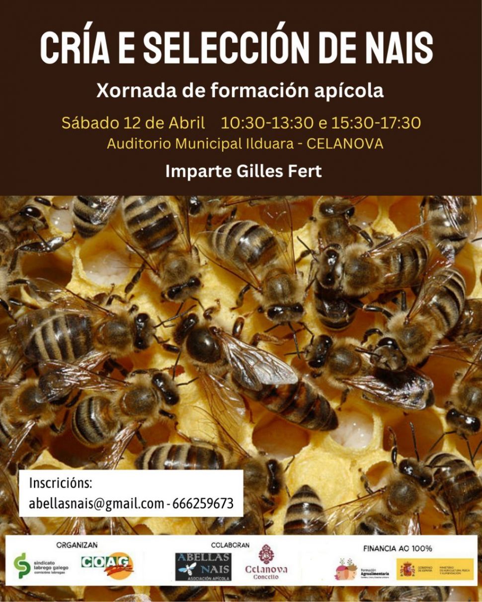Xornada de formación apícola “Cría e selección de nais” 🗓