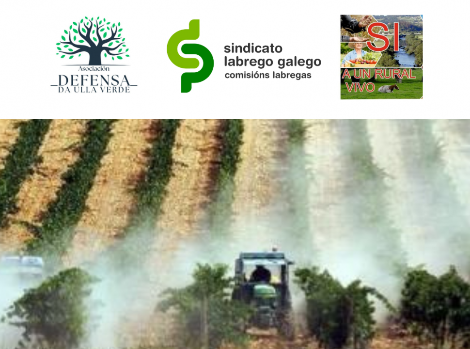 Porque defendemos a riqueza da comarca da Ulla e a saúde das persoas que a habitamos: Non máis viñedo industrial na Ulla! Stop ao proxecto de Martín Códax