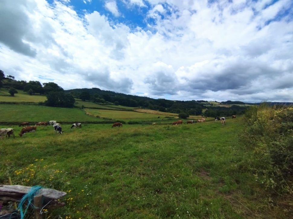 Simplificación da PAC ao estilo neoliberal: menos protección medioambiental e máis burocracia dixital