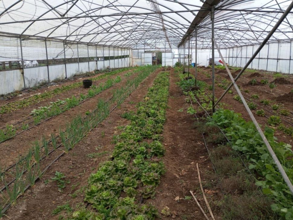 O SLG esixe á CMR a convocatoria inmediata das axudas de incorporación e mellora, con orzamento abondo