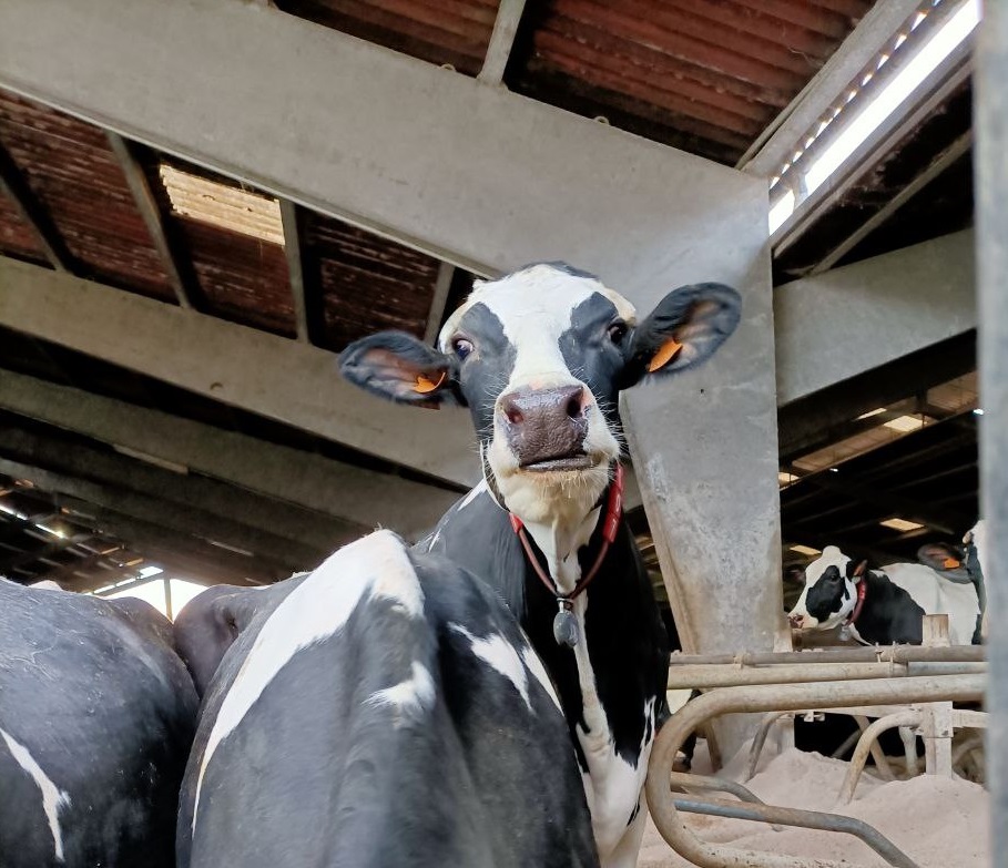 A alimentación non pode supeditarse ao lucro das empresas enerxéticas: demandamos un plan de autosuficiencia