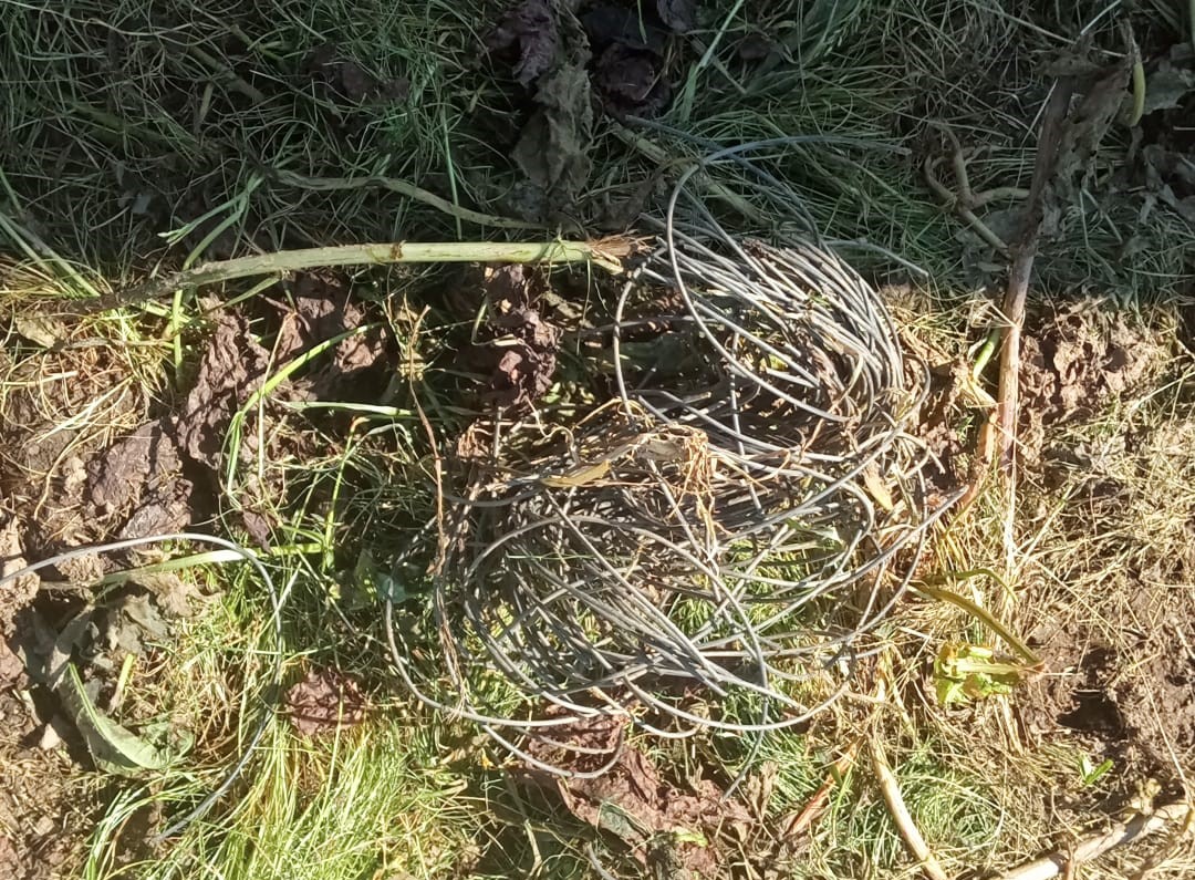 Cables de fibra óptica amoreados no chan dun prado rural, deixados como residuo tras a instalación.