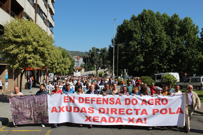 Manifestación Ourense