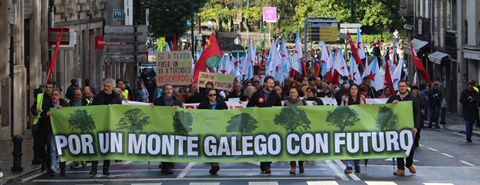 Manifestación Monte 20-O