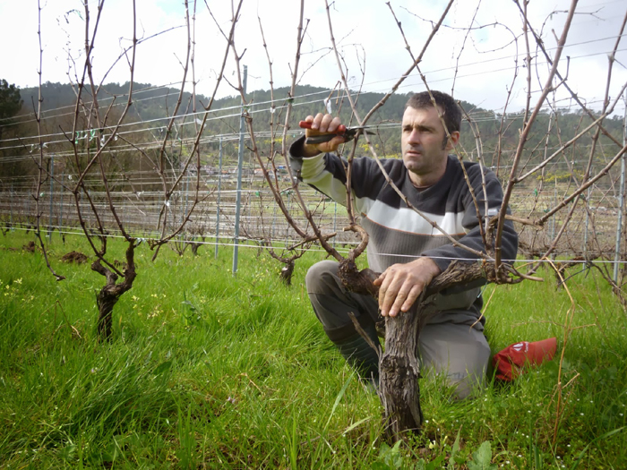 Bernardo Estévez Villar