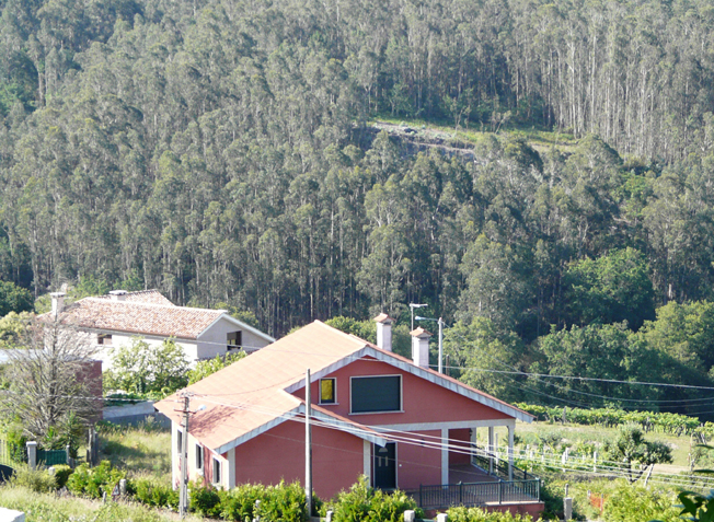 Casa forestada