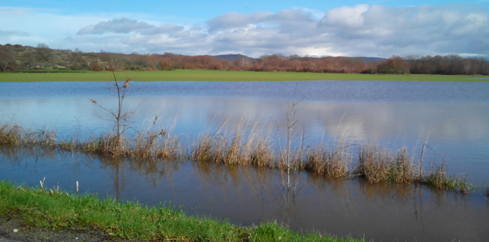 Finca anegada na Limia