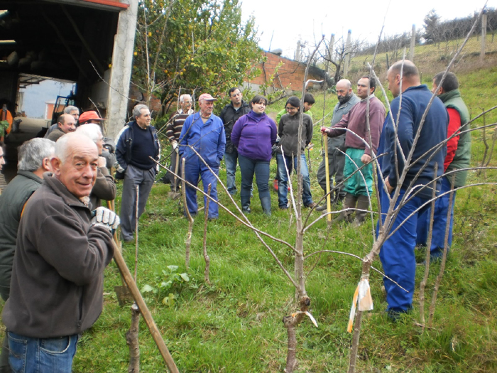 Froiteiras Lourenzá