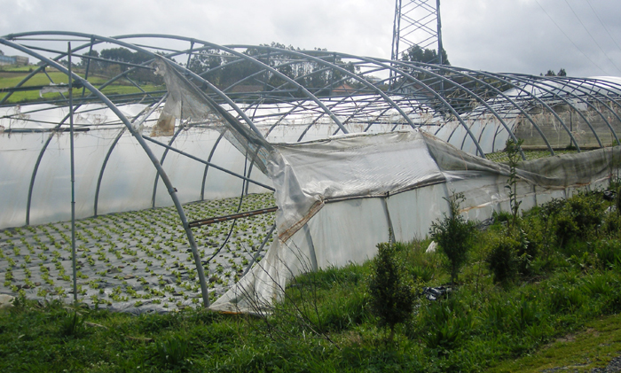 Invernadoiro destruído