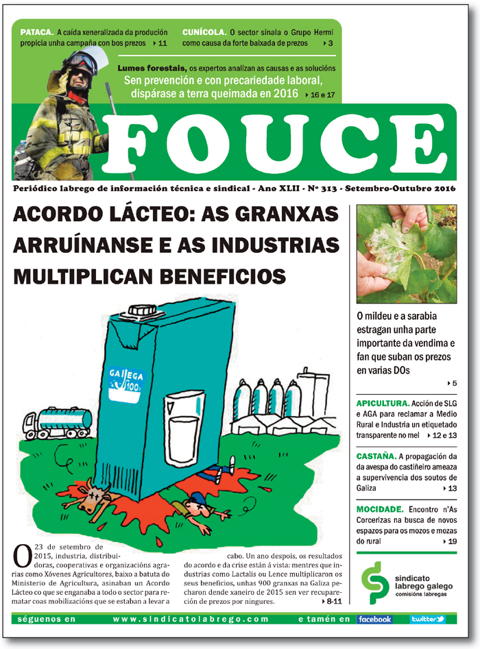 Portada Fouce 313
