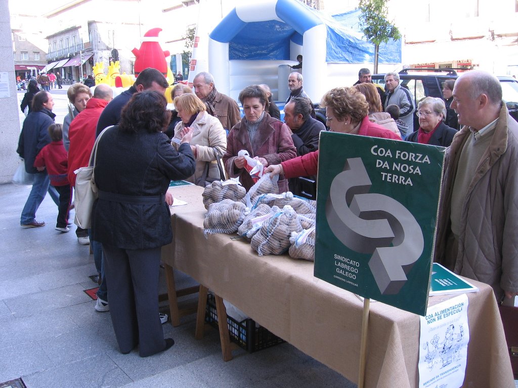 Mercado Transparente Vigo 1