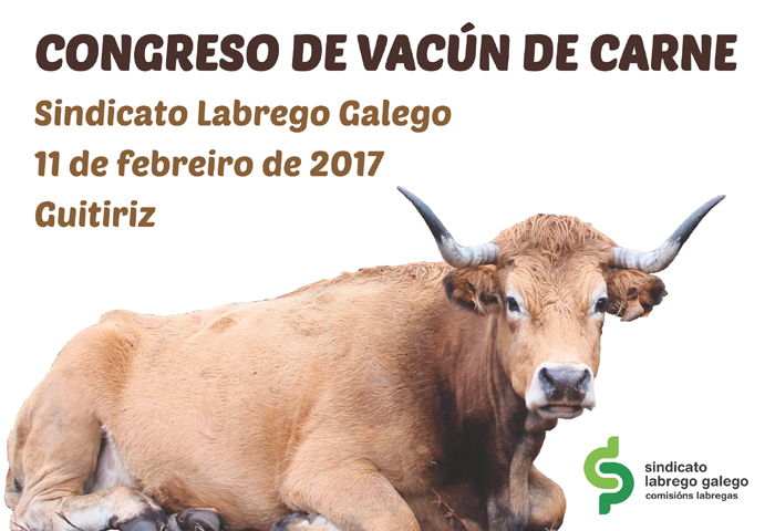 XIV Encontro Mulleres