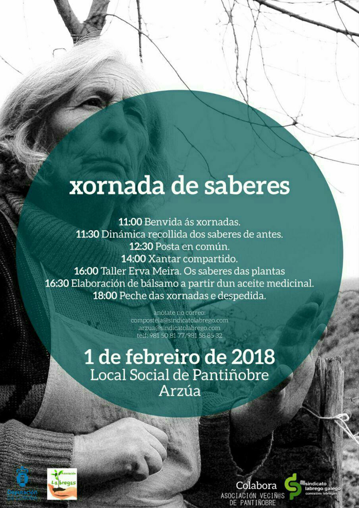 Novo programa III Son Labrego