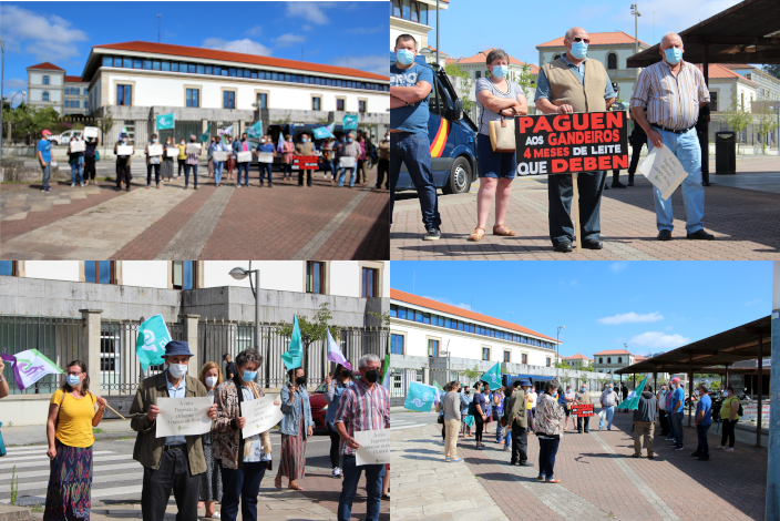 concentra_tegestacin_varias