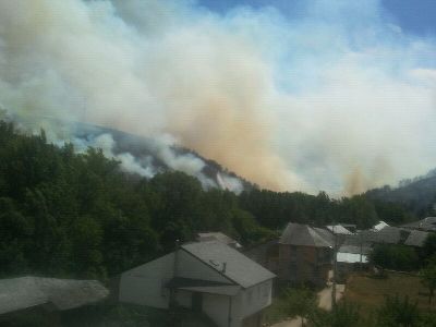 lume preto das casas