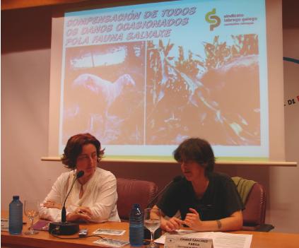 Presentación da campaña de envío masivo de postais á Consellaría o pasado trinta de setembro en Compostela.