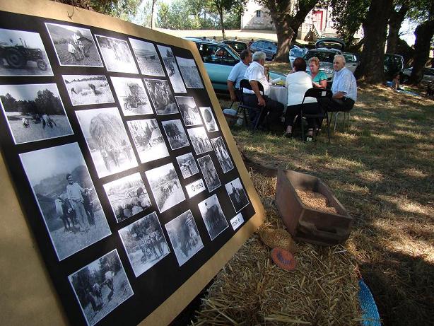 Romaría en Ordes por un mundo rural vivo