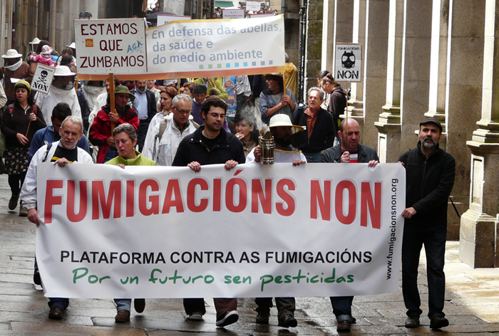 Mercado San Agustín