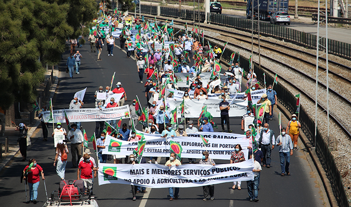 Marcha STOP Velutina
