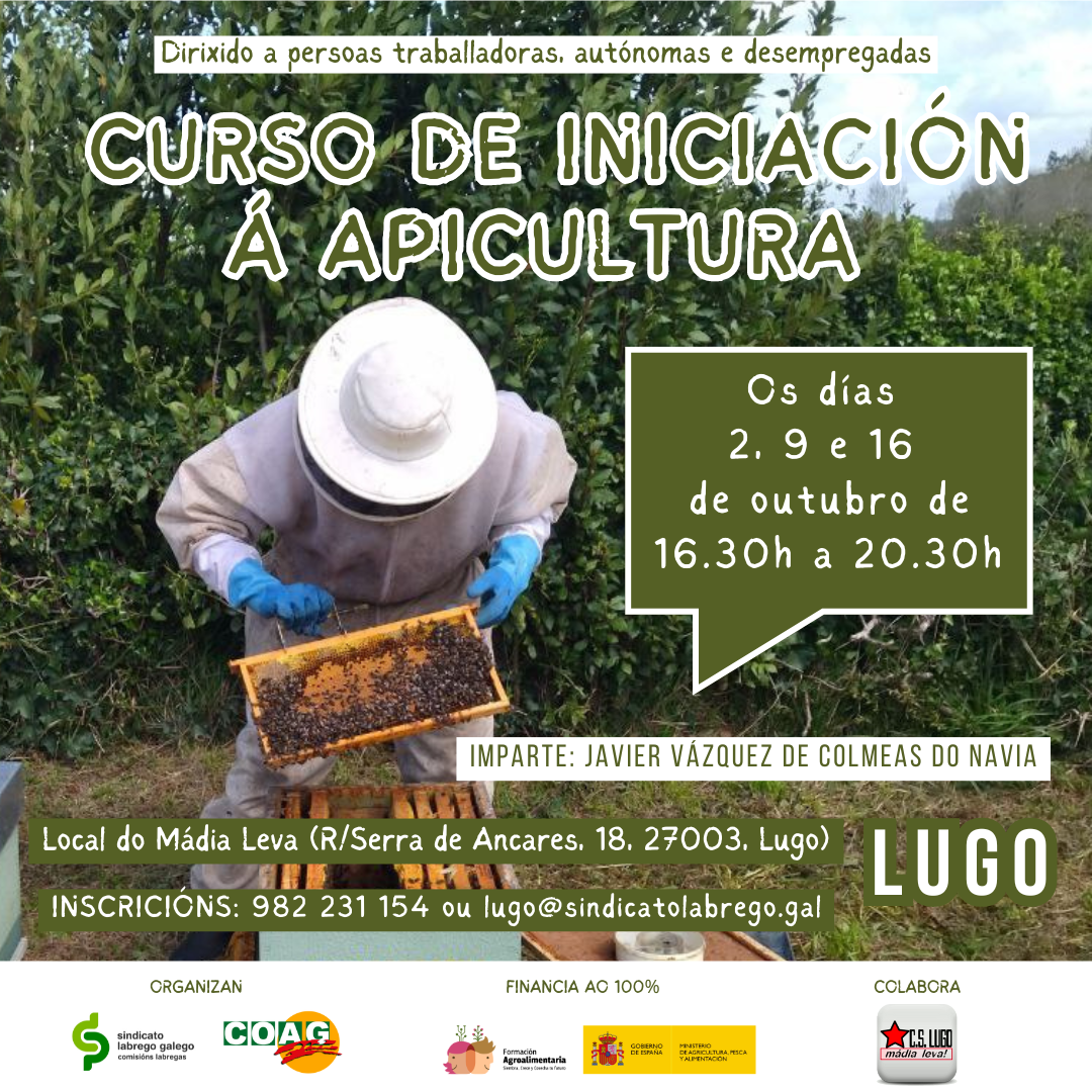 iniciación á apicultura Lugo