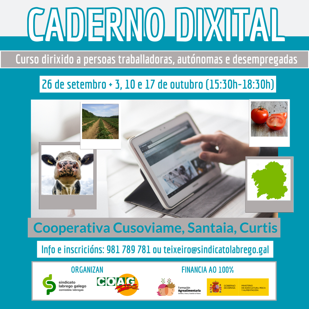 caderno dixital curtis