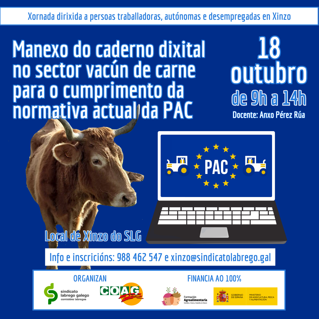 xornada pac xinzo