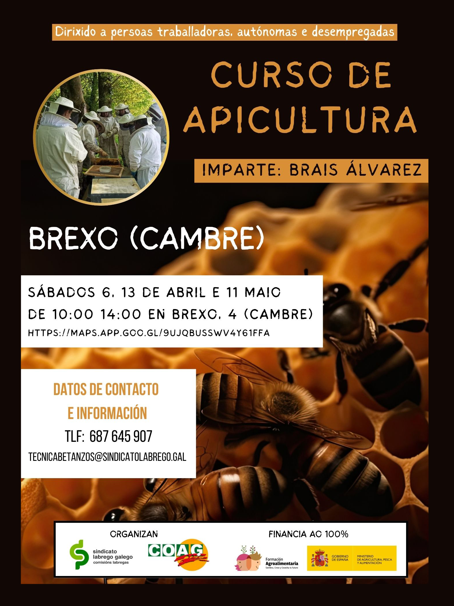 Cartaz apicultura Cambre