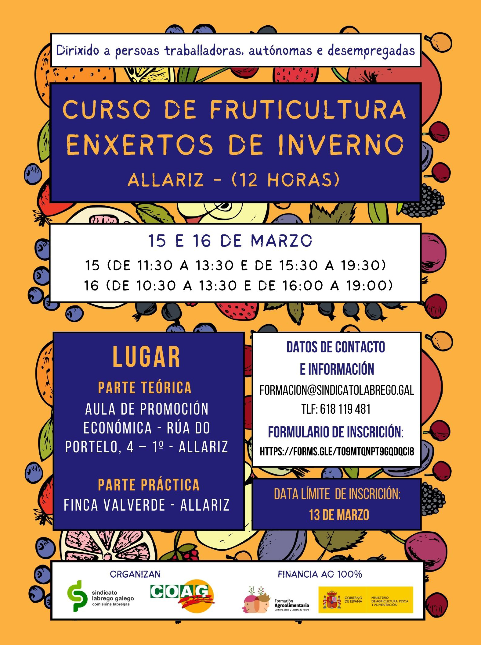 Cartaz fruticultura Allariz