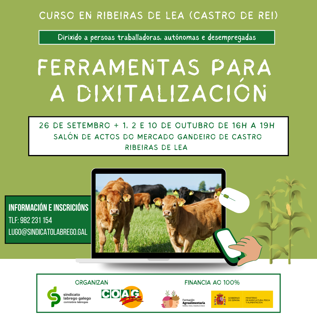 dixitalización Ribeiras de Lea