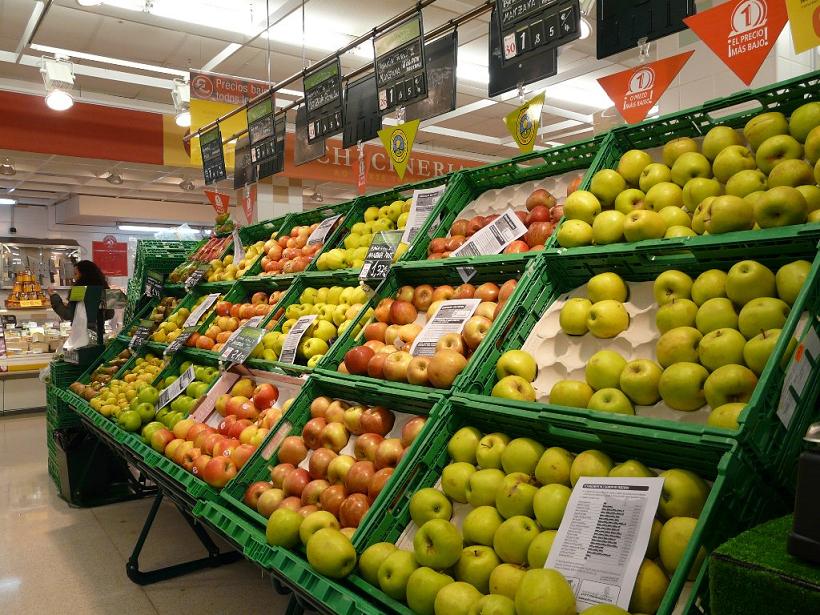 Día Internacional da Luita Labrega – 17/04/2009