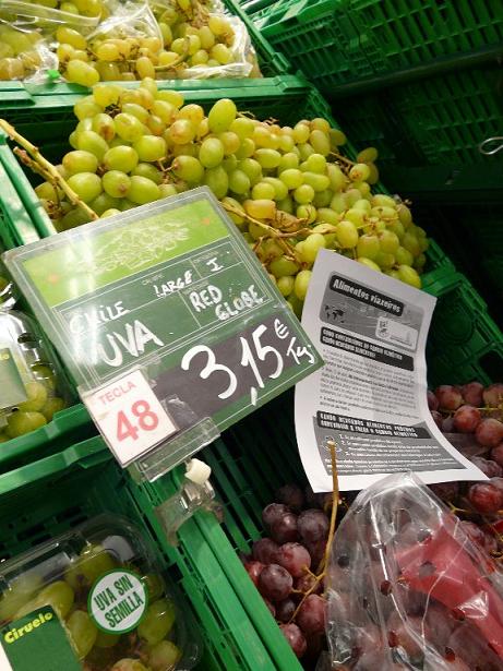 Día Internacional da Luita Labrega – 17/04/2009