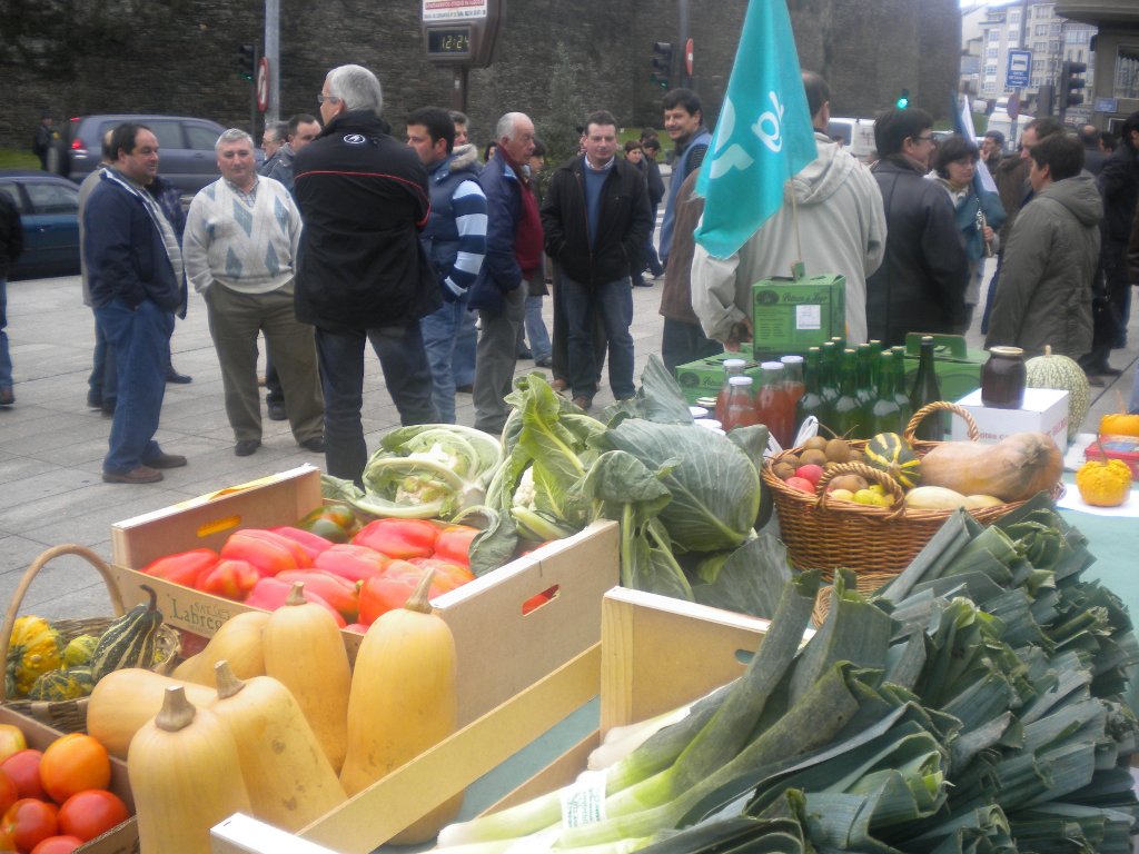 Mercados Transparentes (20/11/2009)