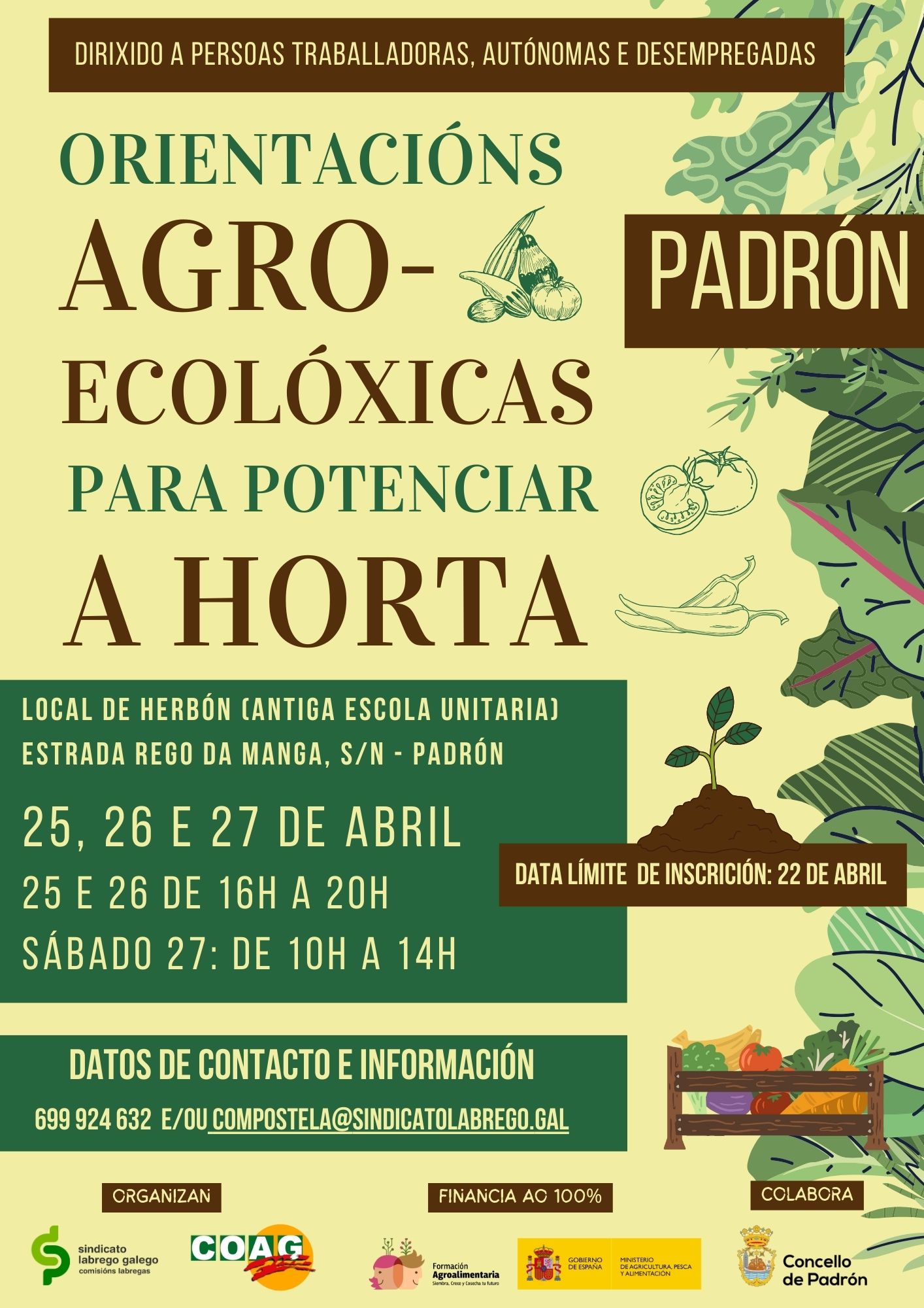 Cartaz curso en Padrón