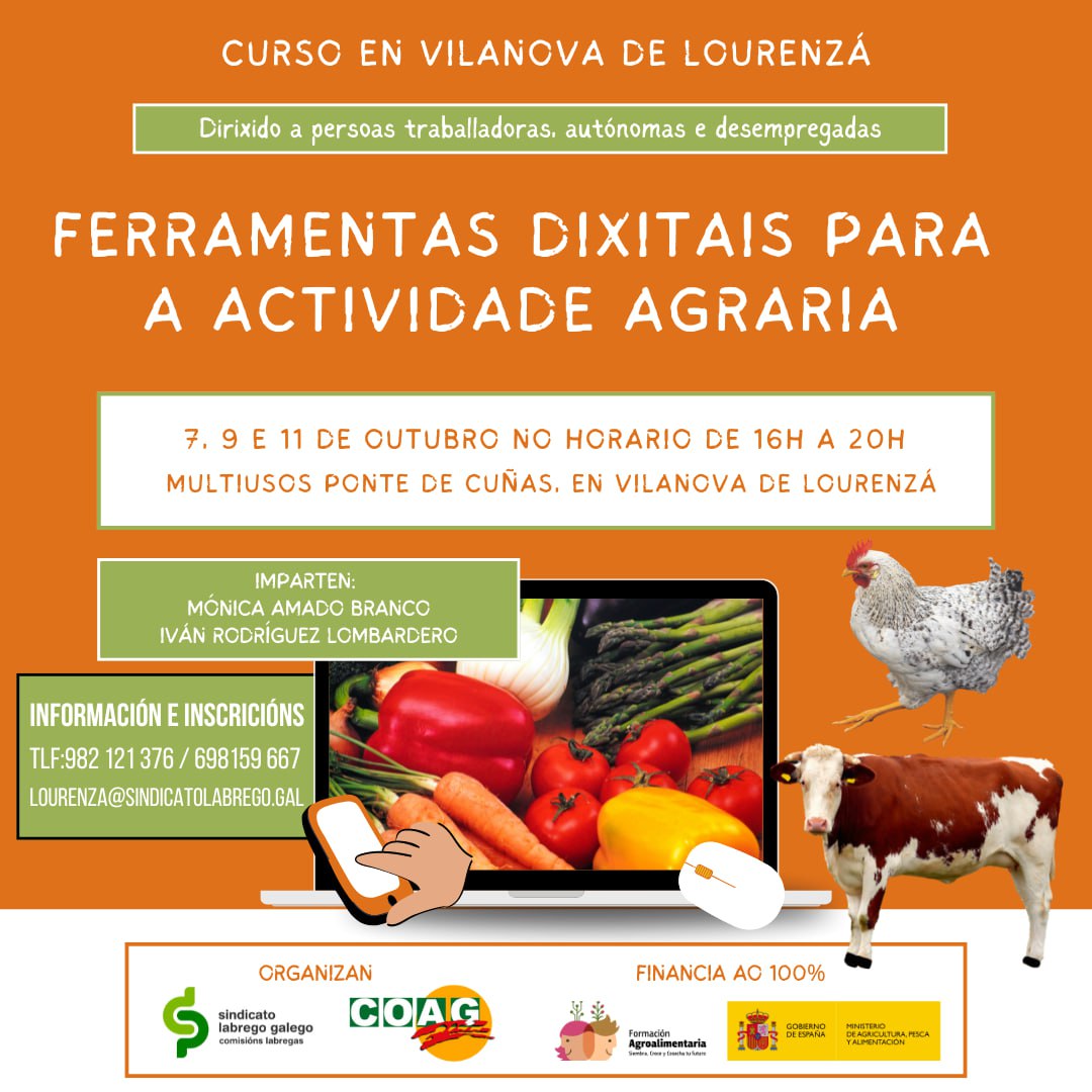 curso dixitalización lourenzá