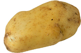 SLG e COAG coinciden en que os contratos homologados e un prezo digno son imprescindíbeis para a supervivencia do sector da pataca