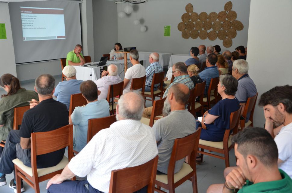 Alerta polo acaparamento de viñedos de DO´s e IXP´s por grandes empresas  de fóra da Galiza