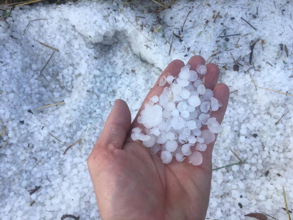 O SLG esixe de Medio Rural apoio ás explotacións arrasadas pola sarabia en Xunqueira de Ambia e Vilar de Barrio