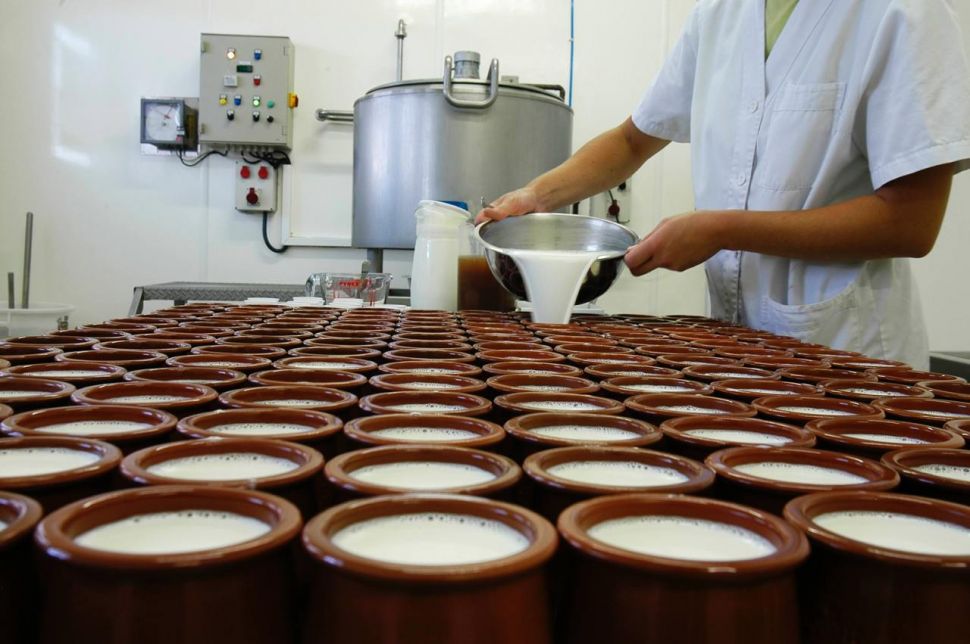 Nace a Rede de Impulso á pequena Transformación Alimentaria (RITA)