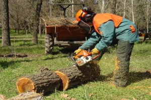 7. Enfermidades profesionais no sector agropecuario: Ruído e vibracións
