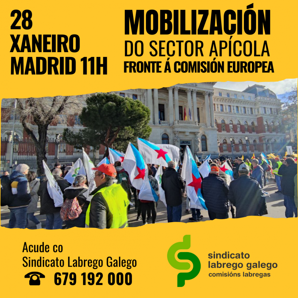 O sector apícola do Sindicato Labrego mobilizarase en Madrid fronte á Delegación da Comisión Europea
