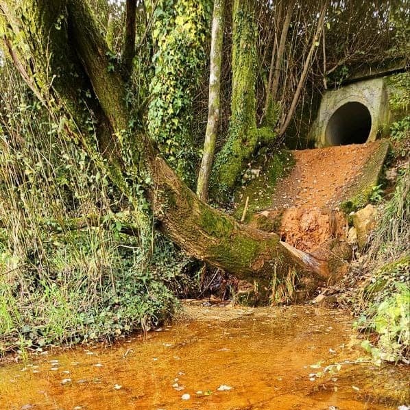 Impedir a participación social no Consello da Minaría e tramitación privilexiada para a empresa Cobre San Rafael/Atalaya Mining: denunciamos a estratexia de lowfare da Xunta de Galicia